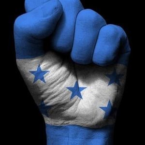 Meet your Posher, Adolfo